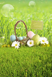 Happy Easter Eggs Green Grass Photo Backdrop GE-042