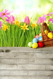 Easter Decorations Eggs Spring Fowers Photography Backdrop for Party GE-046