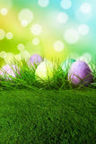 Easter Eggs Flowers Green Grass Backdrop for Party GE-053