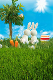 Happy Easter Bunny Eggs  Green Grass Photography Backdrop GE-055