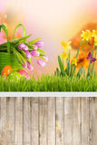 Spring Flowers Easter Eggs Wood Floor Photography Backdrop GE-060
