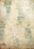 Vintage Shabby Grunge Flowers Texture Backdrop  for Photographers GR2