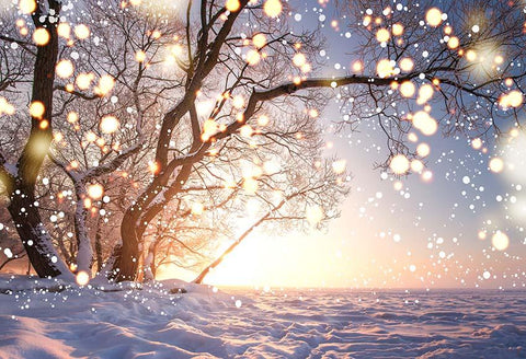 Nieve de Invierno Árbol Bokeh Navidad Telón de Fondo para Fotografía GX-1095