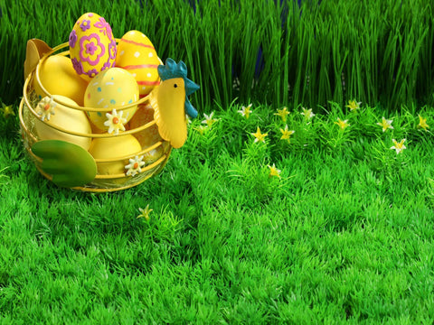 Green Grass Yellow Easter Eggs Photography Backdrops  HJ02949