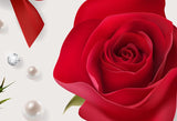 Red Rose Valentine's Day Backdrop for Photo Studio HJ03243