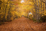 Autumn Yellow Leaves Forest Fall Backdrop for Studio HJ03451