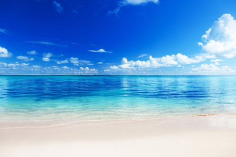 Beach Blue Ocean Sky Seaside Scenery Backdrop for Studio  HJ03893