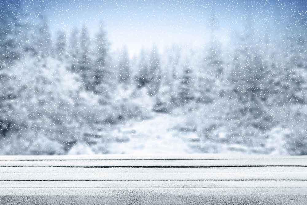 Season Backdrops Winter Backdrops Snowflake Background J02192-E