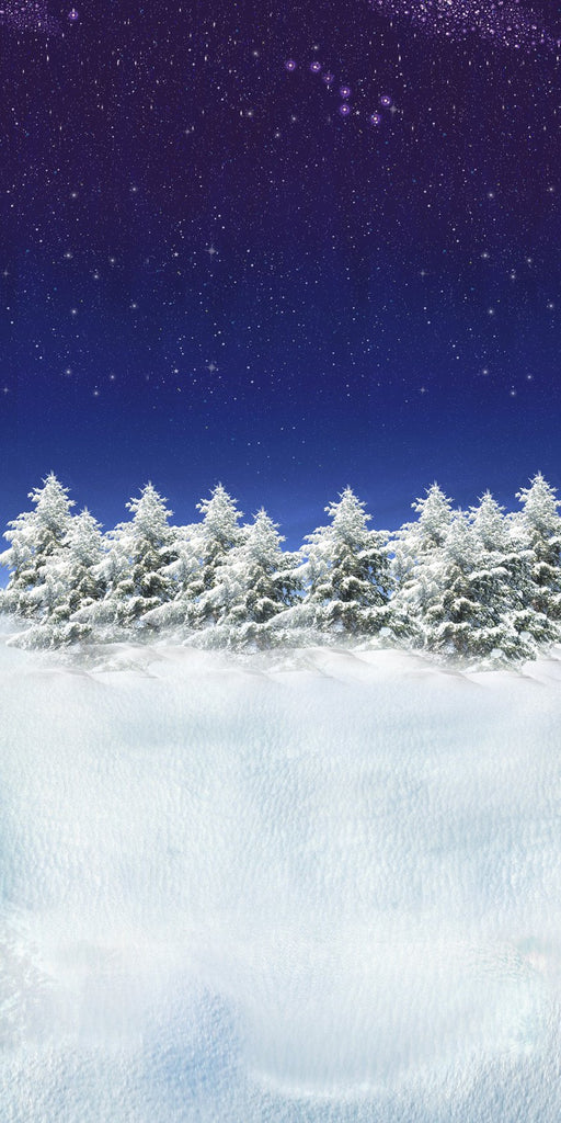 Season Backdrops Winter Background Snowflake Backdrop Night J02728