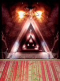 Grunge Backdrops Vintage Background Glitter Backdrop Wood Floor J02815