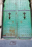 Green Rusty Iron Door Backdrop for Photo Studio J03160