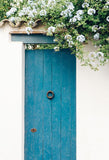    Blue Wooden Door White Flowers Photo Booth Backdrops J03732