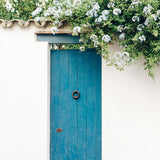    Blue Wooden Door White Flowers Photo Booth Backdrops J03732