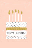 Happy Birthday Backdrop Cake Backdrops The Candle Background J04271