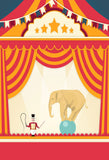 Baby Backdrops Circus Background Red Backdrop J04302 