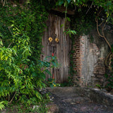 Grunge Wooden Door Brick Wall Backdrop for Studio J05488