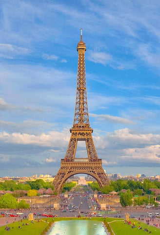 Eiffel Tower Paris Landmarks City View Photo Booth Backdrop J05491