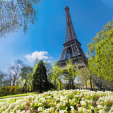 Paris Eiffel Tower Flowers Photo Studio Backdrop J05497