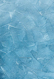 Telón de Fondo Abstracto Azul Claro de Estudio Fotográfico para Disparar J08078