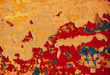 Grunge Wrecked Orange Red  Wall Backdrop for Studio K-789