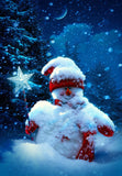 Night Snow Snowman Christmas Backdrop for Baby Shower DBD-19315