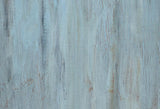 Blue Wooden Texture  Backdrop for Photography M008