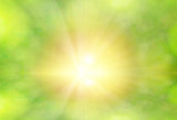Green Bokeh Solar Beam Photography Backdrop M163