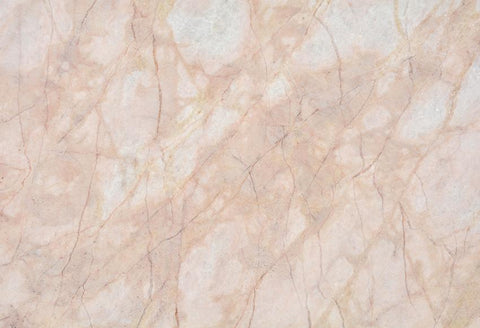 Pink Marble Texture  Backdrop for Photo Booth M199