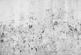 Concrete Wall Texture White Photography Backdrop  M240