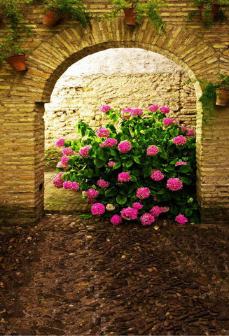 Brick Arch Red Flowers Photo Booth Backdrop MR-2160