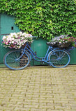 Green Door Bicycle Flowers Photo Booth Backdrop MR-2177