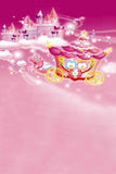 Baby & Little Girl Backdrops Pink Backdrop Castle Background N10482-E