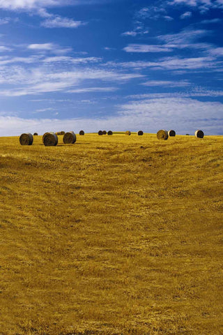 Western Farm  Straw Backdrop for Photography N10571-E