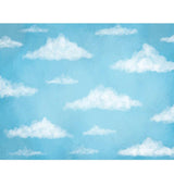 Hermoso Cielo Azul y Nubes Blancas Fondo para Fotografía del Recién Nacido NB-367