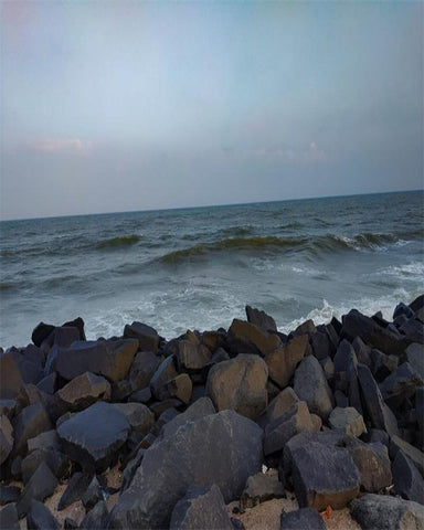 Stone Beach Ocean Photography Backdrop