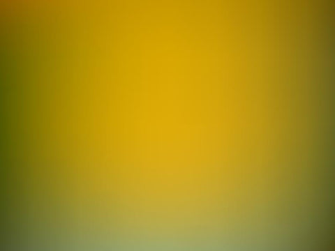 Abstract Green Yellow Gradient  Backdrop for Photography