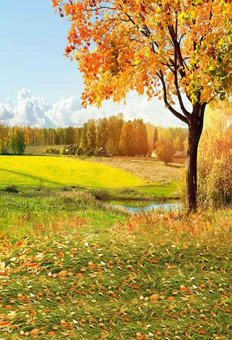 Autumn Yellow Leaves Lawn Small Stream Photography Backdrop