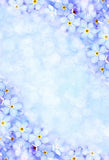 Patterned Backdrops Flower Backgrounds Blue Backdrop S-2982