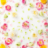 Flowers Backdrops Pink Background White Backdrop S-3009