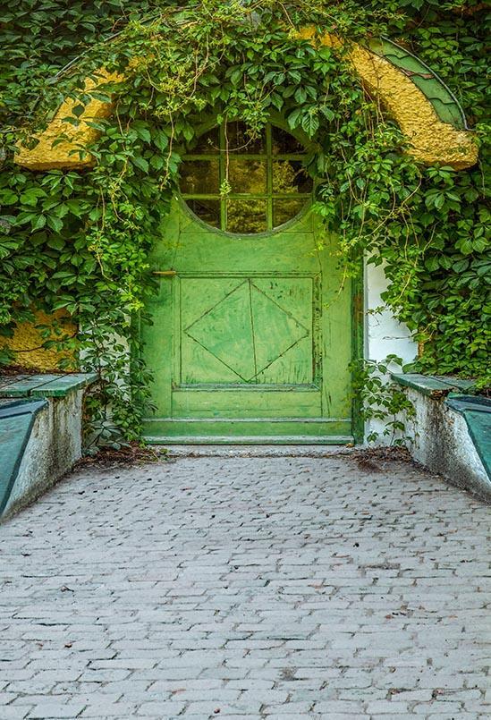 Old Green Iron Gate With Green Plants Backdrop for Pictures S-3097