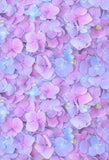 Floral Backdrops Patterned Backdrops Purple Background S-3175