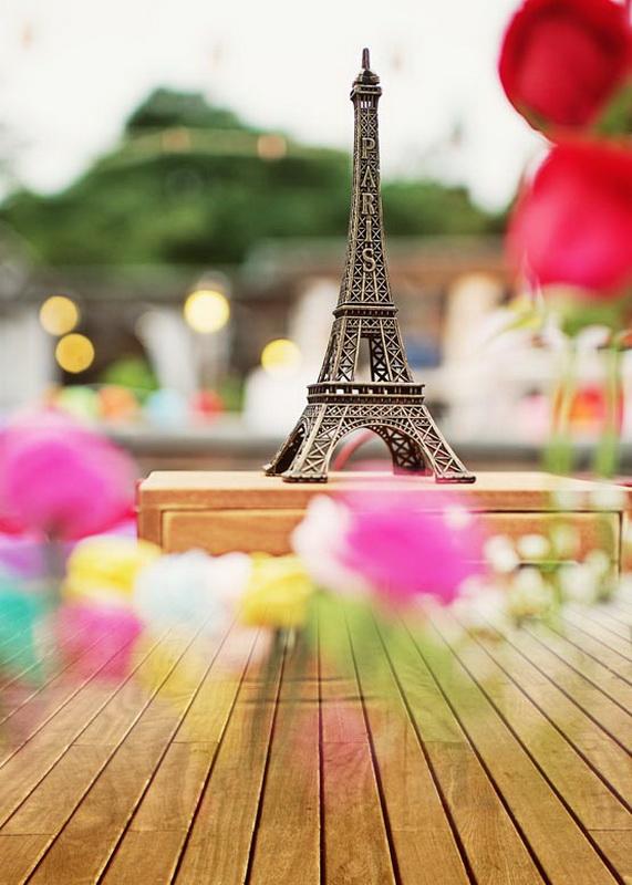 Paris Eiffel Tower Photo Backdrop for Photograohy S-749