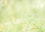 Green Leaves Blurred Greenery Background Spring Nature Scenery Backdrop