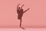 Ballet Dancer Girl Shadows Pink Photography Backdrop