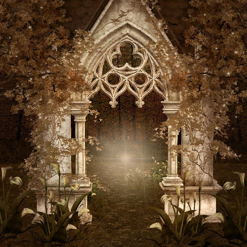 Fantasy Entrance Photography Backdrop