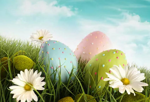 Spring Flowers Easter Eggs  Backdrop for Photo Studio SH009