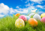 Spring Easter Eggs Green Grass Decorations Backdrop for Photography SH031