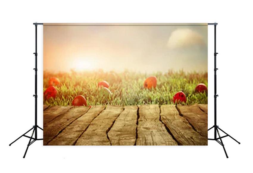 Sunset Green Grass  Easter Eggs Photo Booth Backdrop SH083