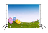 Easter Eggs Green Grass Photo Booth Backdrop SH093