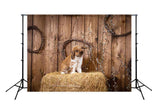 Bunny Hay Brown Wood Wall Backdrop for Photography SH147